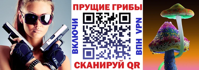 Псилоцибиновые грибы Psilocybe  где продают   omg ONION  Каменногорск 